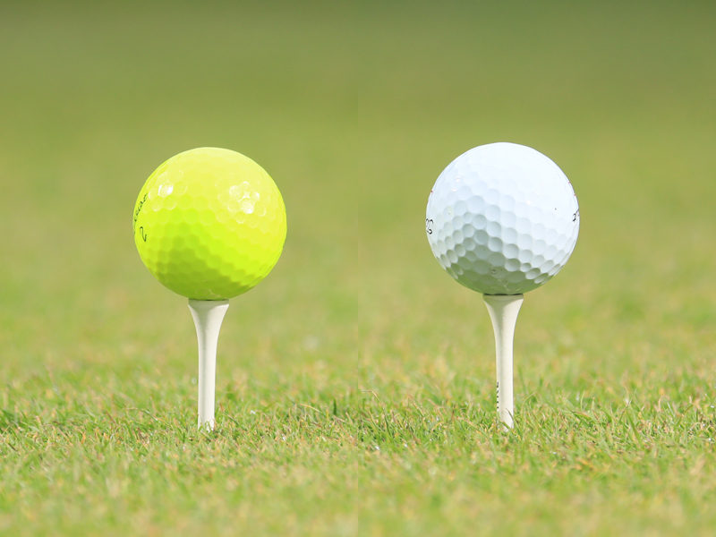 yellow-v-white-ball-web