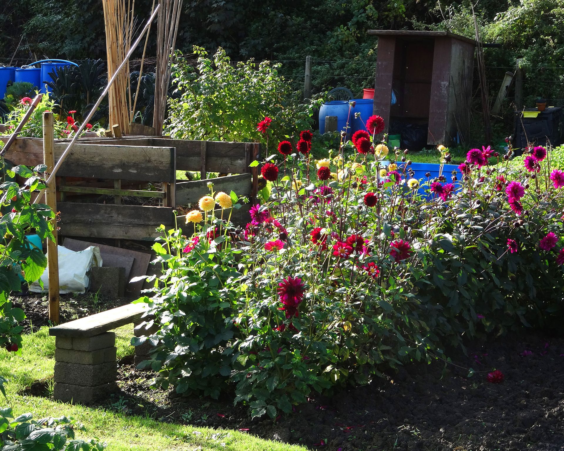wooden compost bin in garden