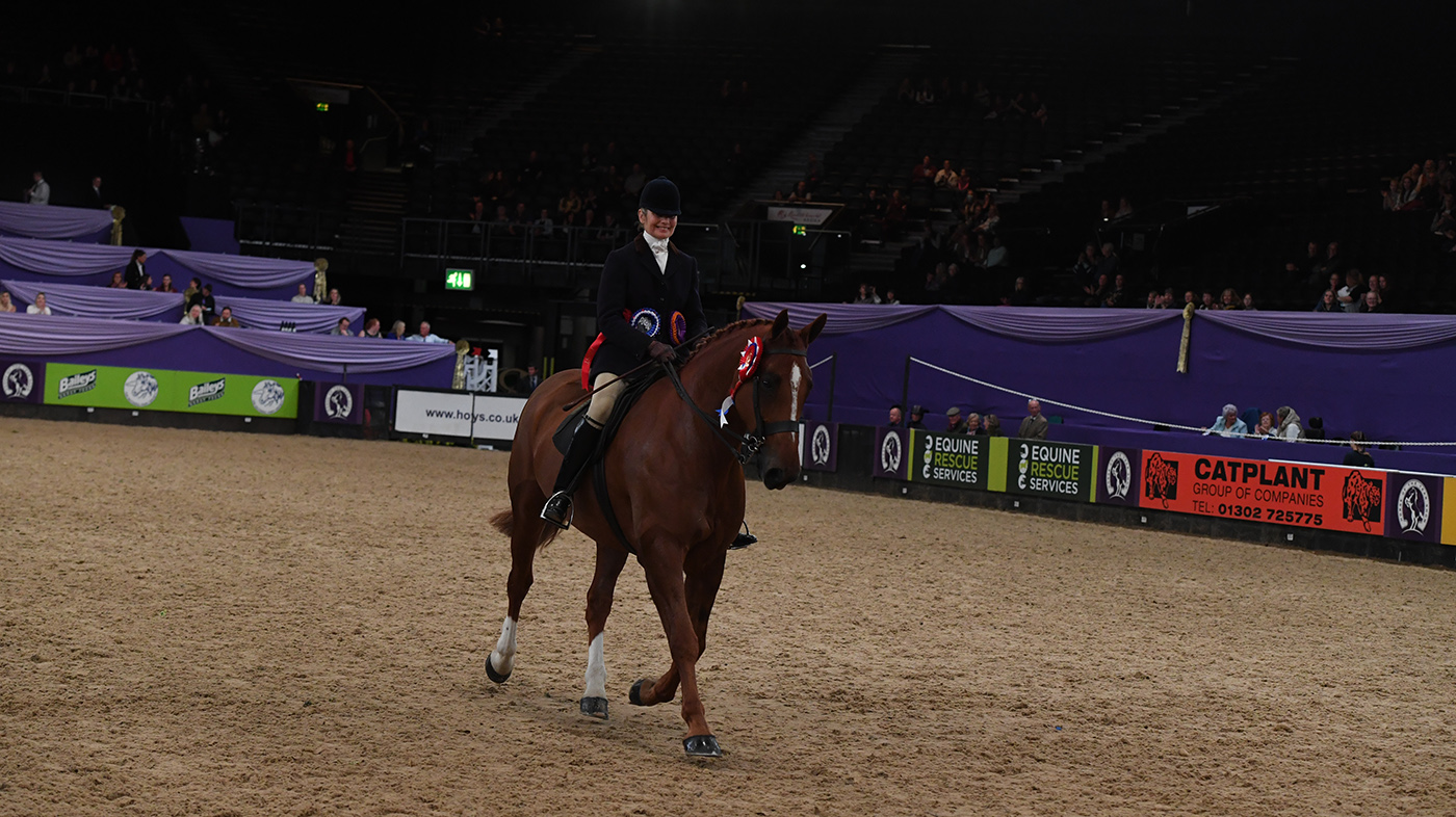 HOYS 06 10 22