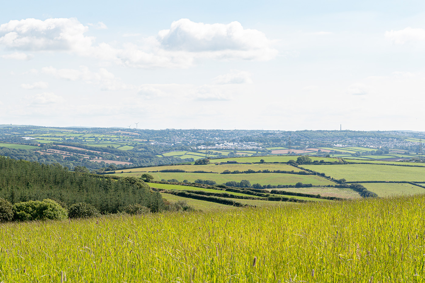 Higher Tregawne-7390