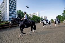 Jed Owolade, Simon Hawkes and Godwin Mpungi. Ebony Horse Club, Brixton, South London. ©Richard Cannon for Country Life