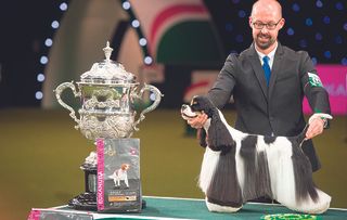 In four days of fun – and a fair bit of excited barking – almost 21,000 dogs from over 200 breeds have demonstrated their best poses and displayed their most elegant walks in the show ring.