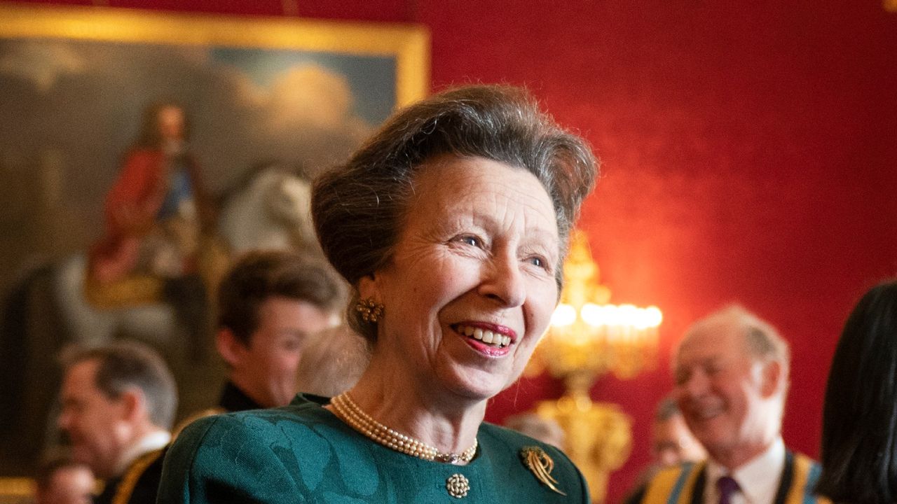 Princess Anne&#039;s unfaltering energy