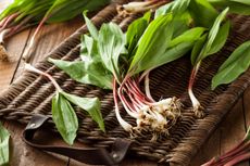 Tray With Wild Vegetables