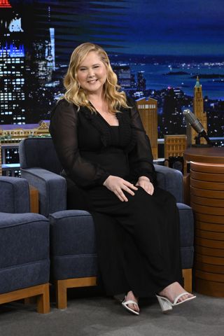 Comedian & actress Amy Schumer during an interview on Tuesday, February 13, 2024.