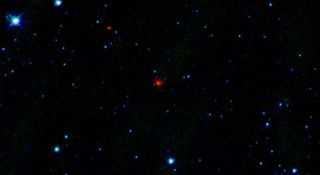 Comet Discovered by New NASA Observatory