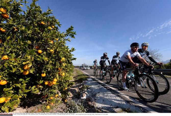Mark Cavendish and his Omega Pharma-QuickStep teammates ride past an orange grove.
