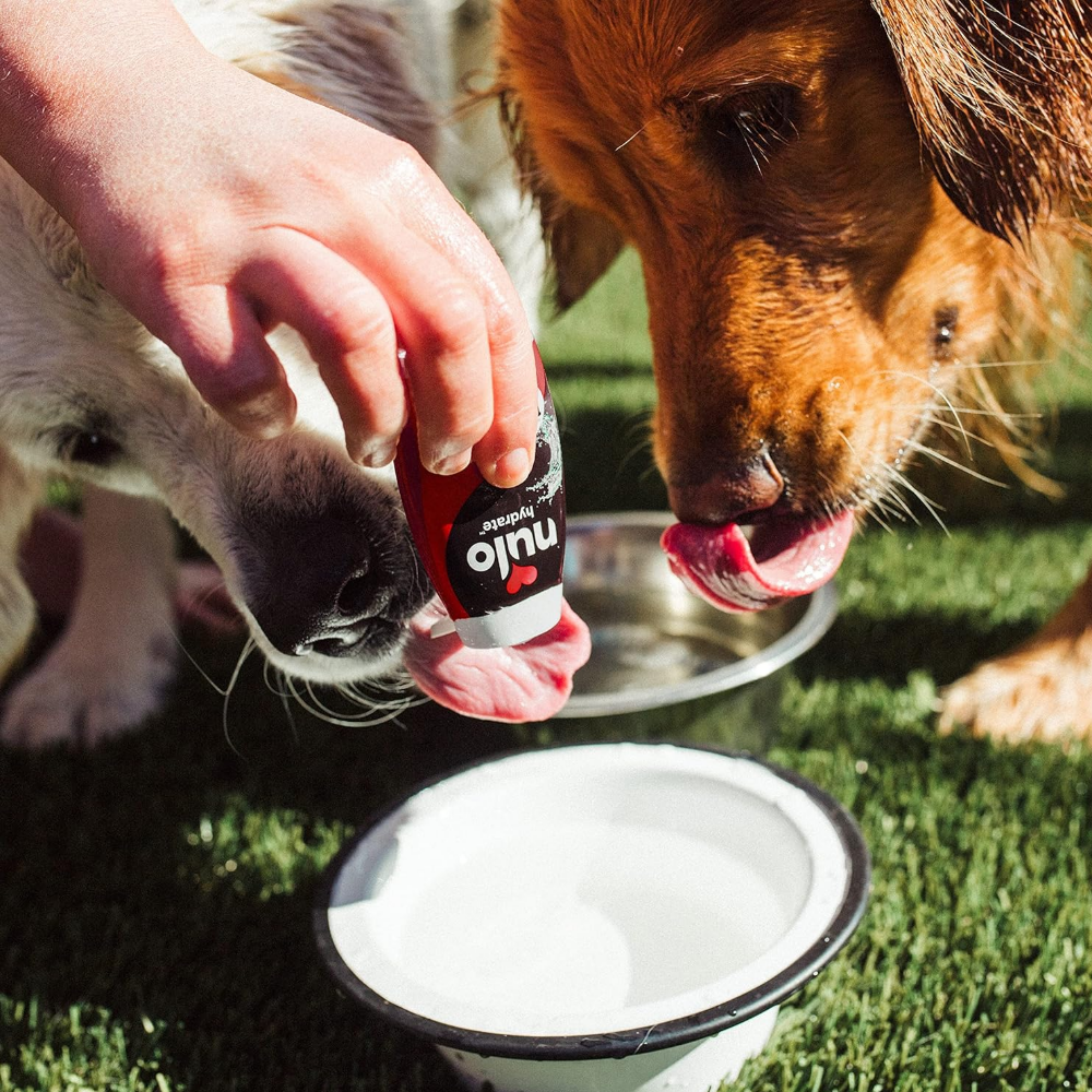 Hand putting Nulo Hydrate into a bowl with two dogs behind licking their lips