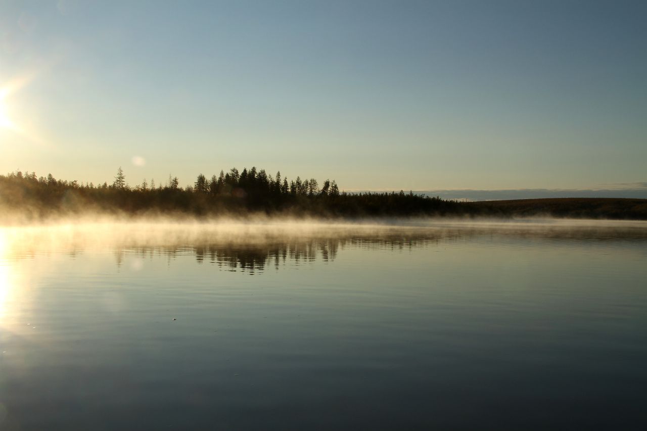 The banks of the Indigirka river in Siberia, near where the ice age bird was discovered.