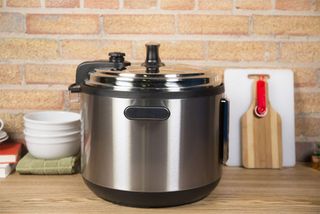 GoWise 14 Qt 4th-Generation Electric Pressure Cooker Review | Top Ten