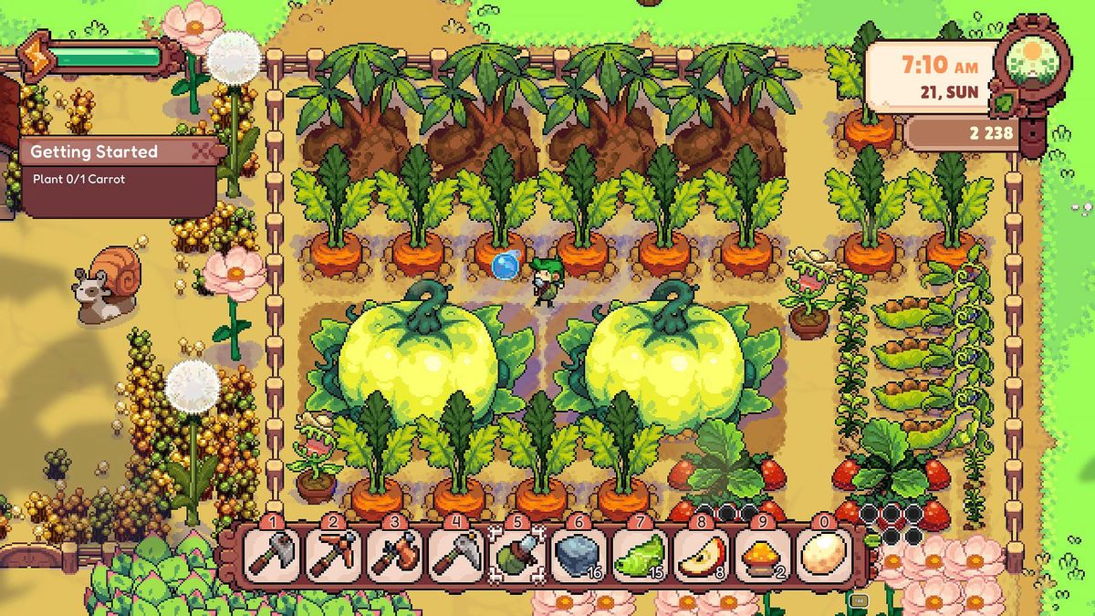 Fourleaf Fields - A player watering their giant carrots and pumpkins