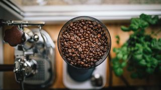 coffee beans and grinder for French press