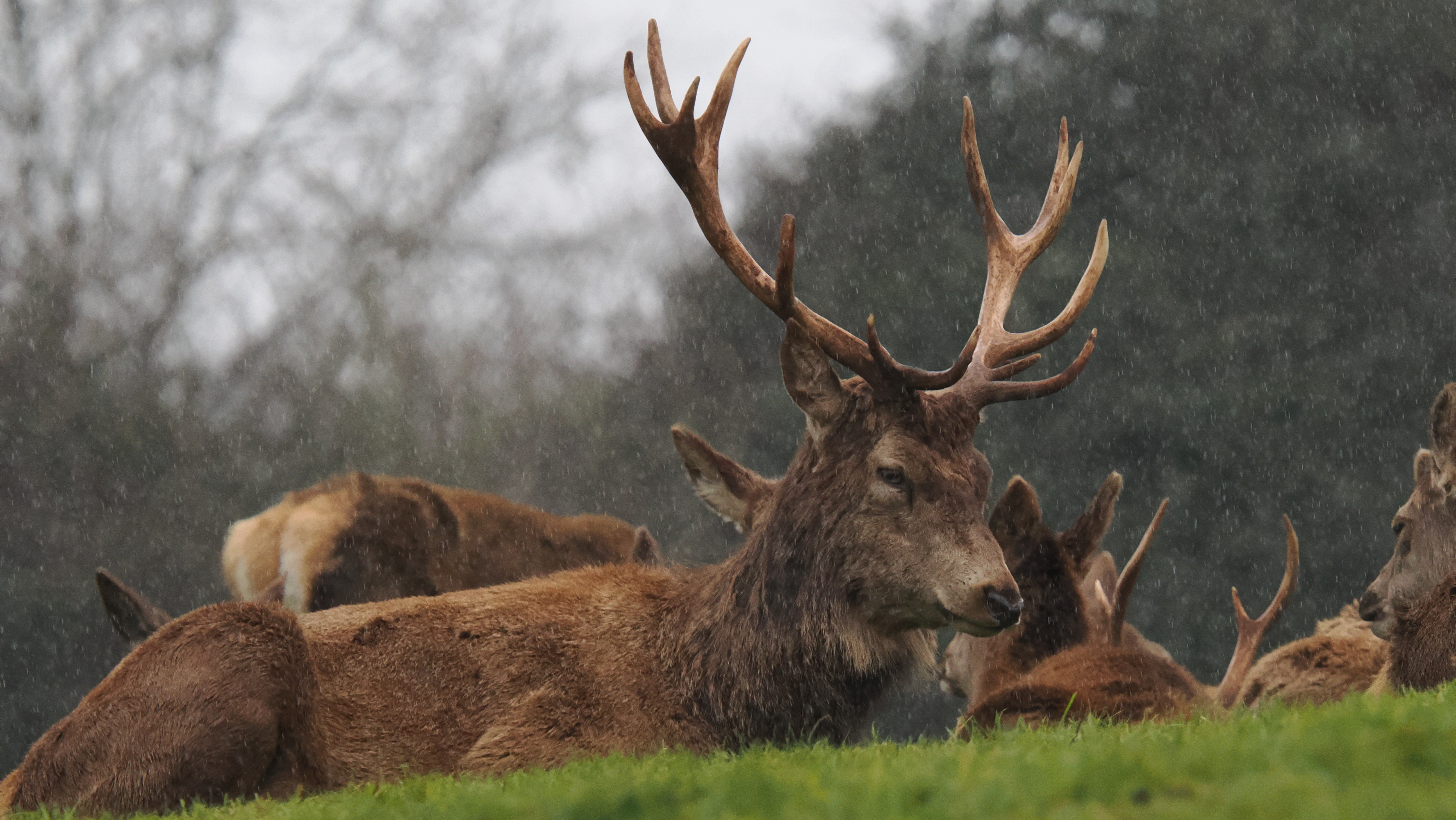 A photo taken on an OM System OM-1 Mark II Micro Four Thirds mirrorless camera