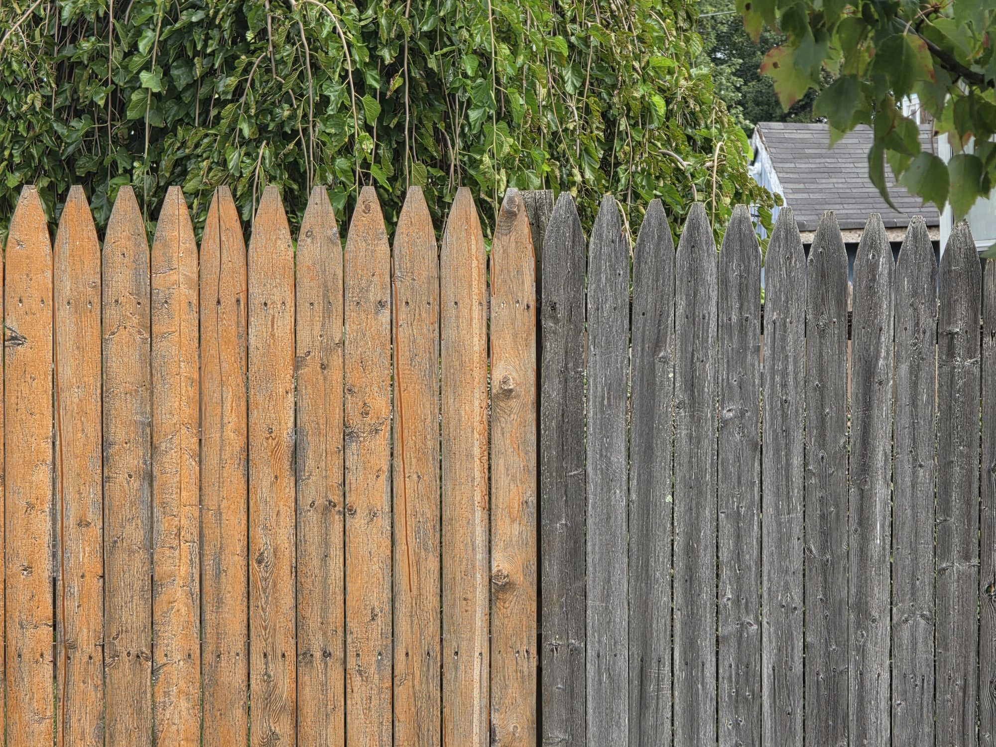 Samsung Galaxy S25 Ultra zoom sample.