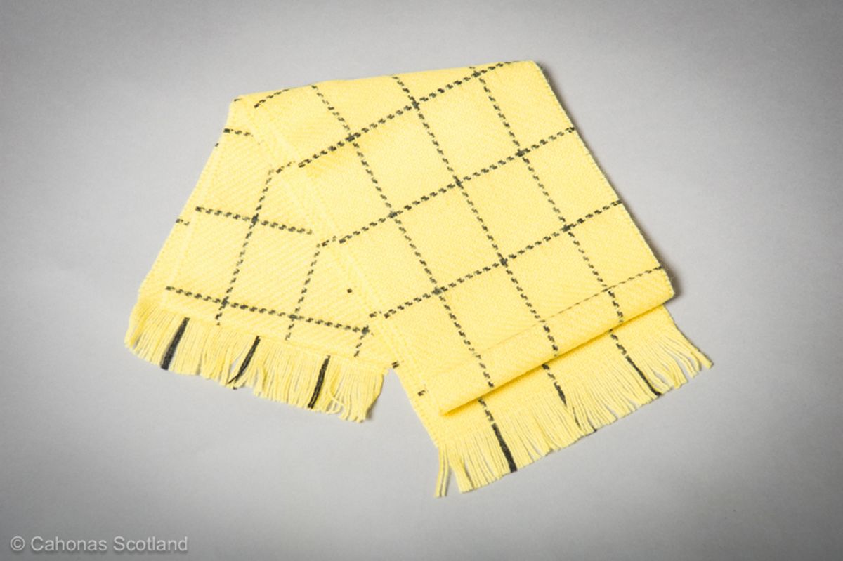 Paul McCartney's scarf