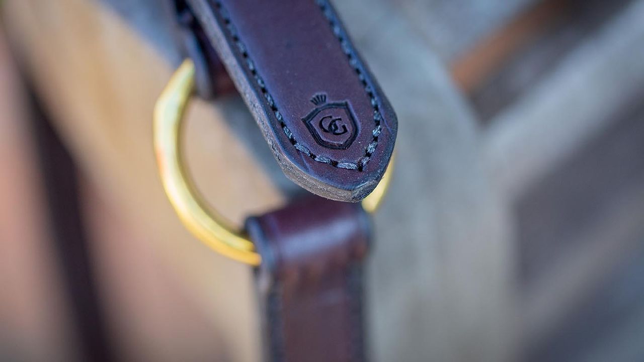 Glaze &amp; Gordon deluxe leather headcollar review