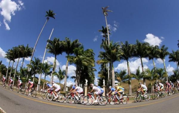 Plenty of palm trees en-route to Tre Rios on Stage 2
