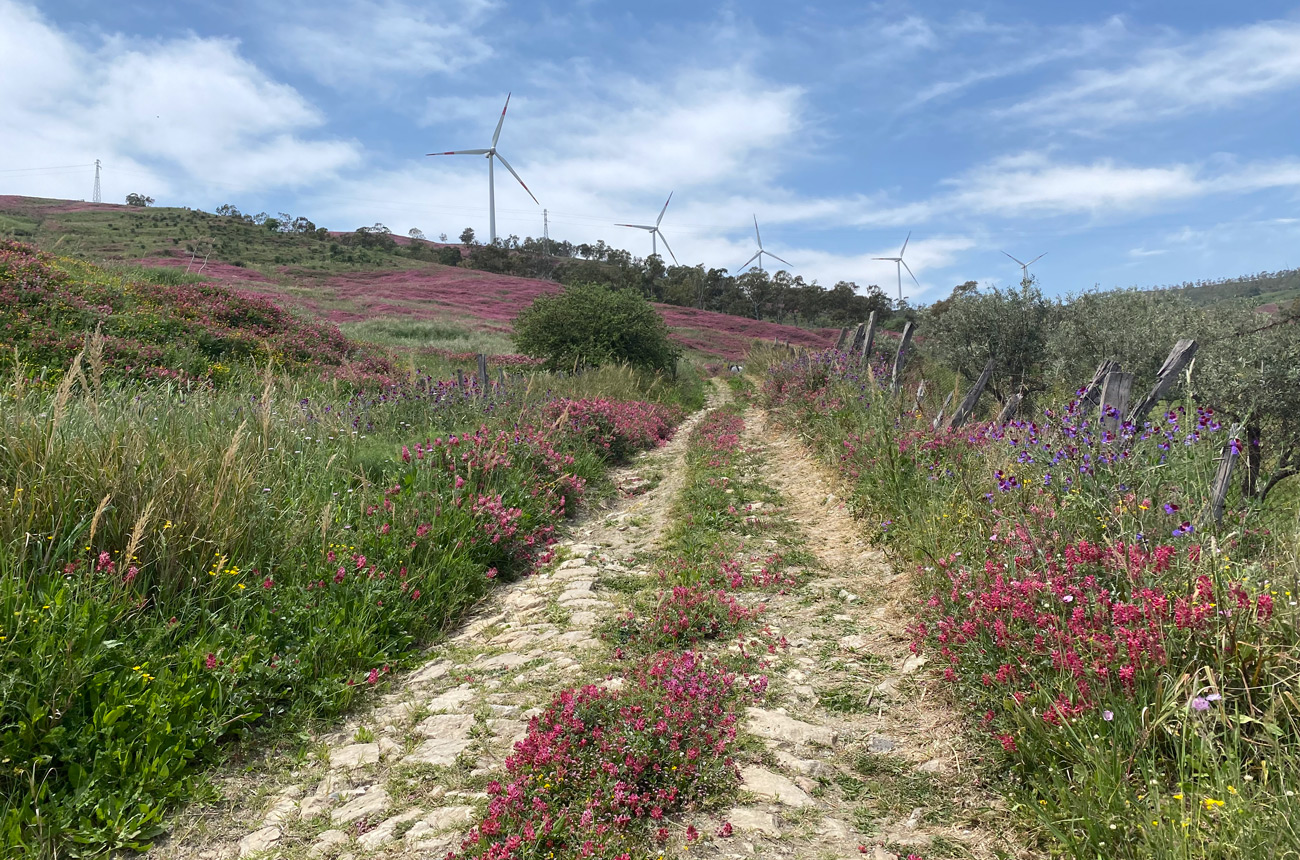 National Park of Sila in Calabria