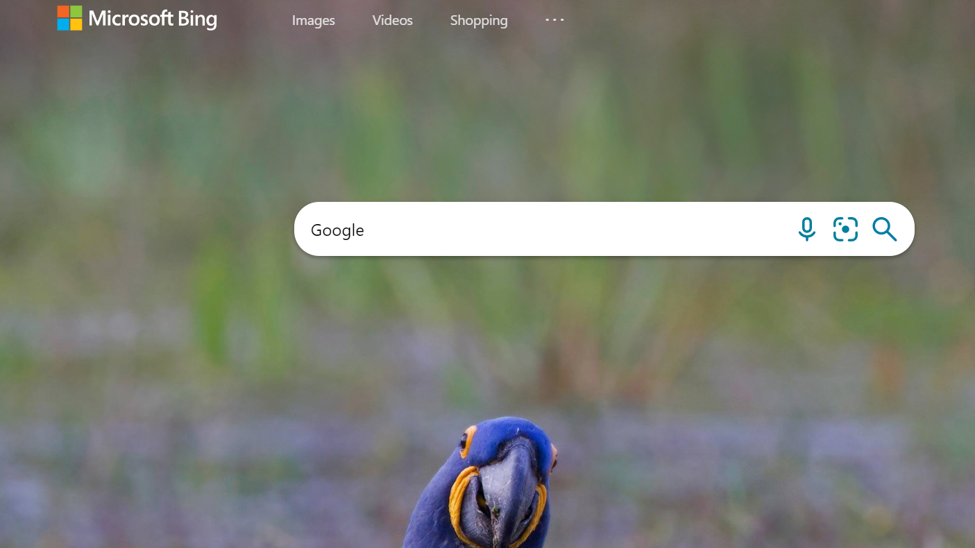 Google says the most searched word on Bing is, wait for it, 'Google ...