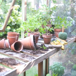 Overturned pots on workbench in potting shed