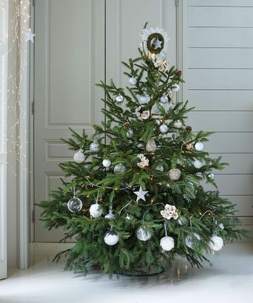 How to decorate a Christmas tree- a step by step guide with tips from ...