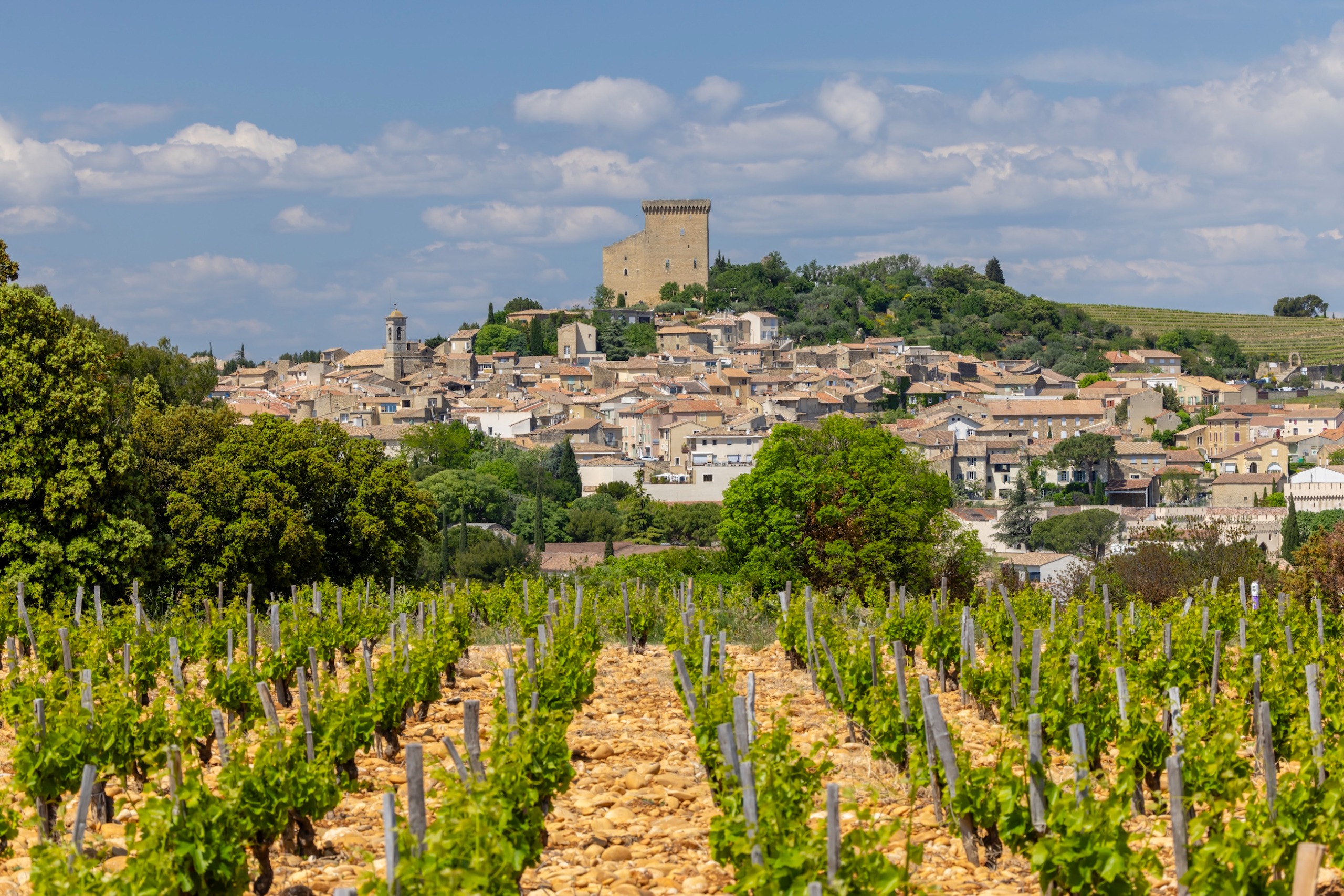 vineyard with stones near Chateauneuf-du-Pape, Cotes du Rhone, France