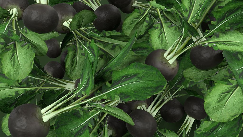 black radishes