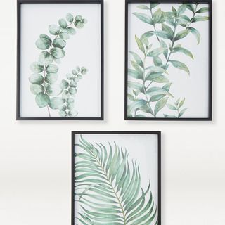 botanical prints frames