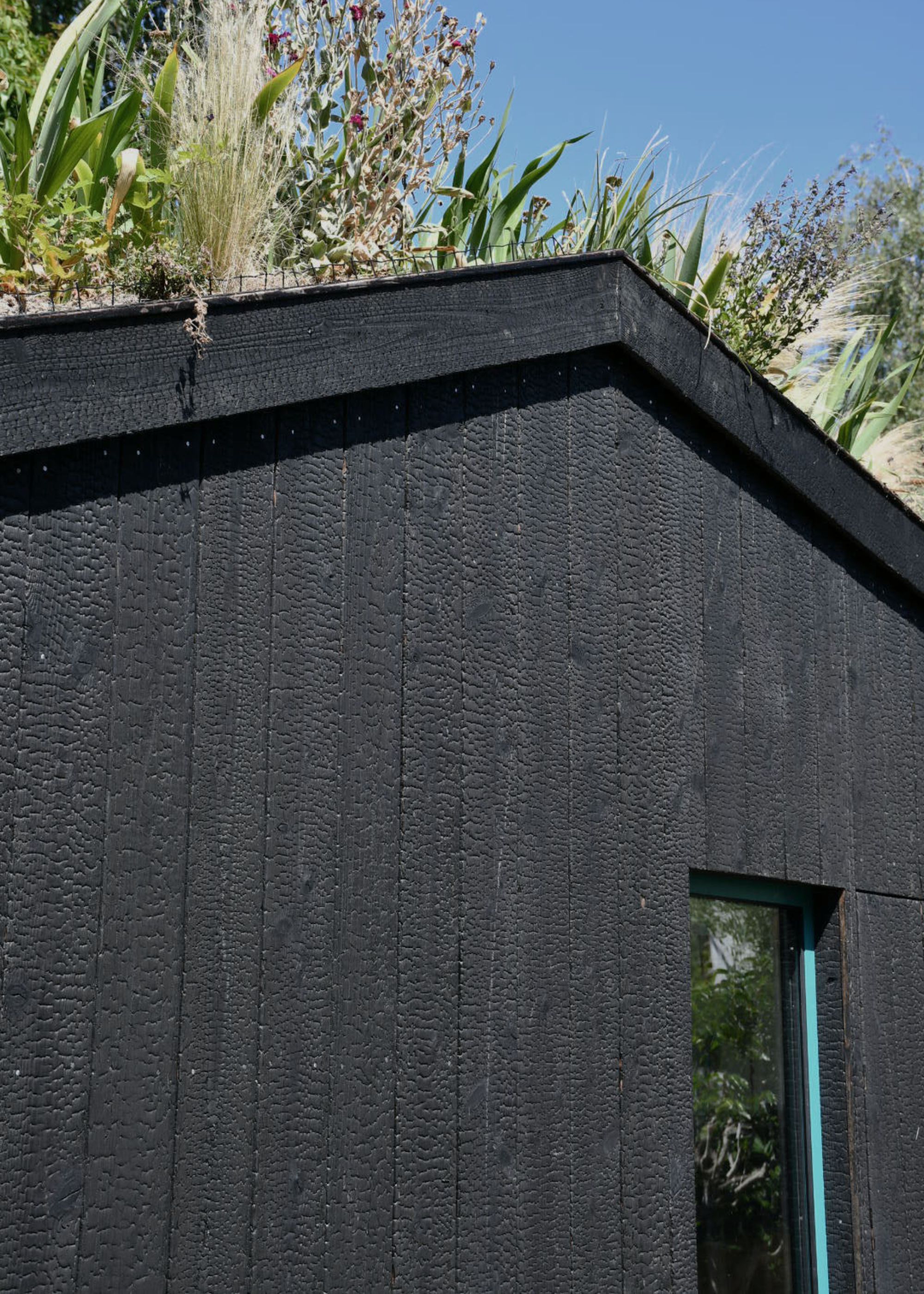 Shou Sugi Ban Technique used on an outdoor garden room. The black wood has little textures and is surrounded by lots of greenery.