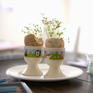 white hollowed egg pots with green plants on dining table