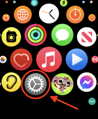 How to erase all data on Apple Watch - settings menu