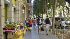 A view of a superblock city street in Barcelona