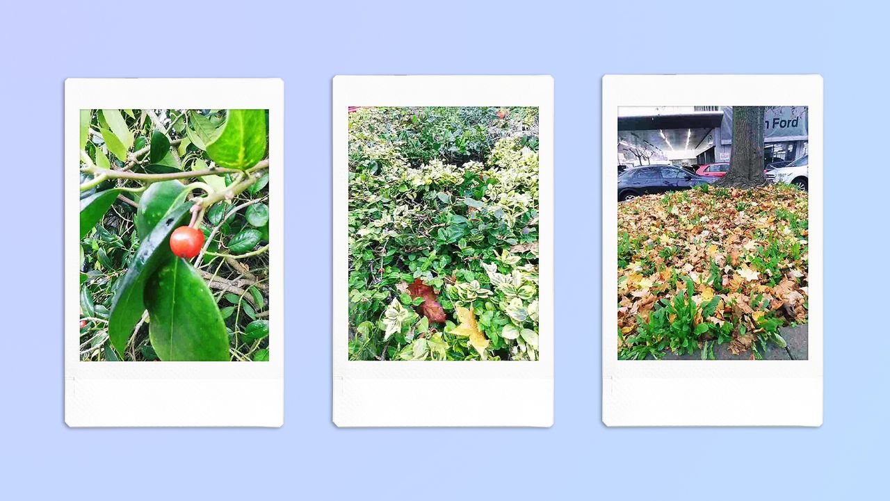 A compilation of photos taken on a Fujifilm Instax Pal digital camera