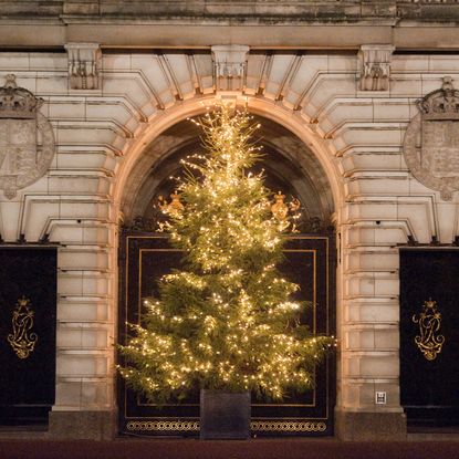 A lit Christmas tree outside Buckingham Palace