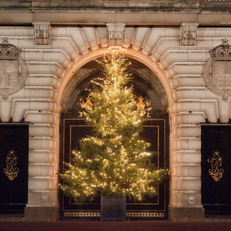 A lit Christmas tree outside Buckingham Palace