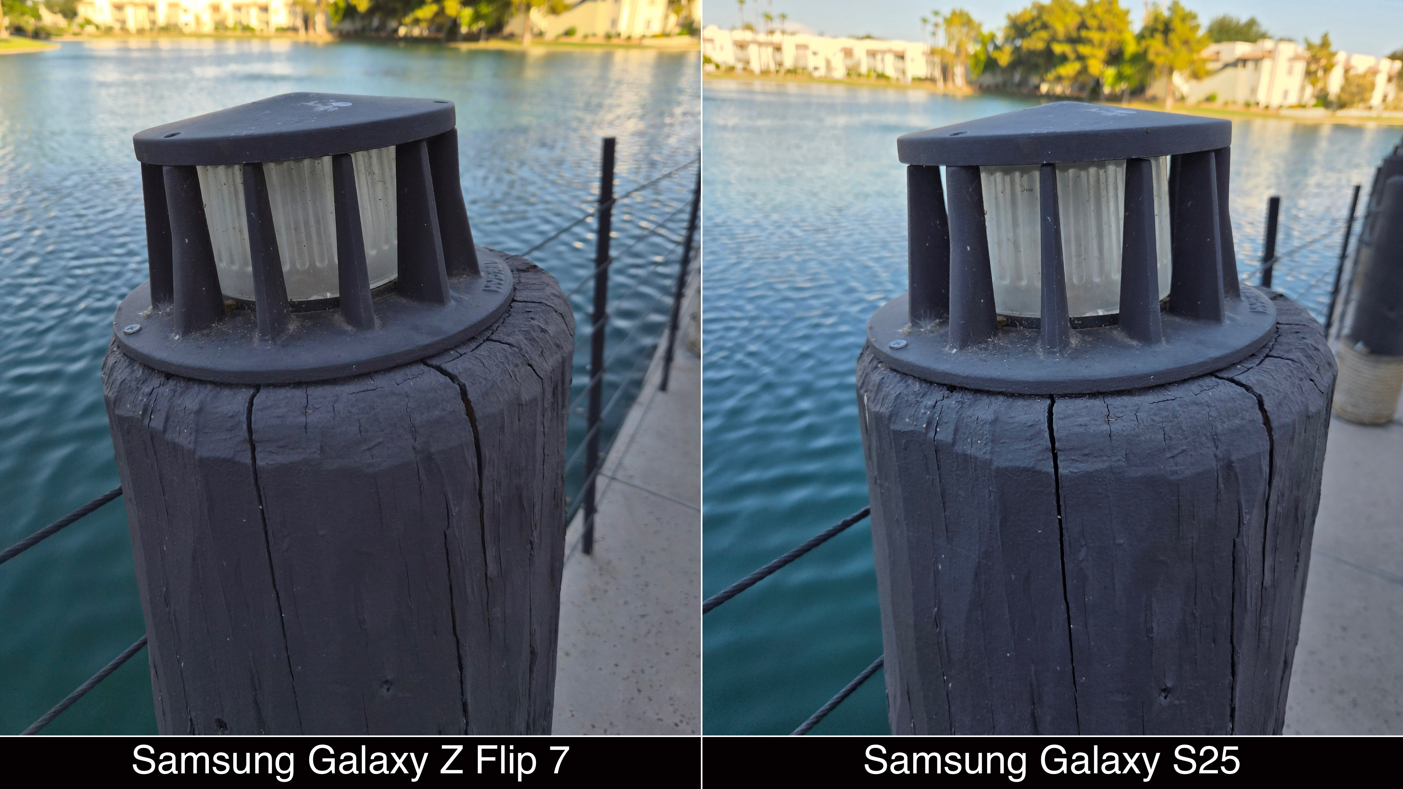 Shots captured with the Samsung Galaxy Z Flip 7 and Galaxy S25.