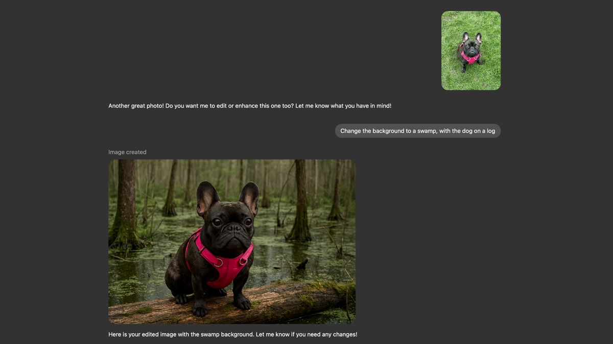ChatGPT image generation French Bulldog