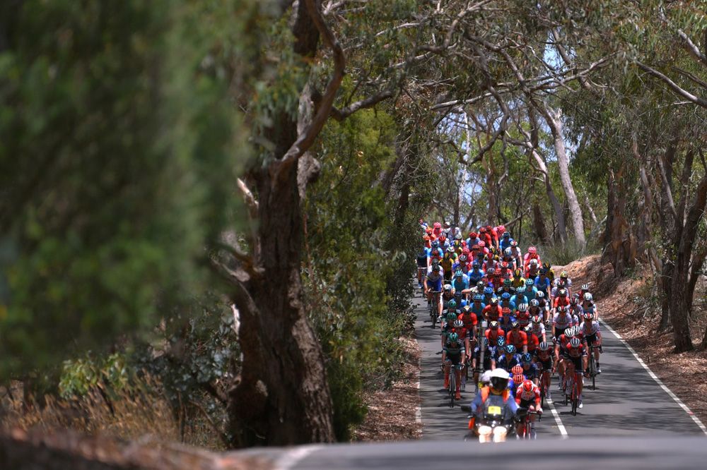 The Tour Down Under peloton enjoys a moment of shade