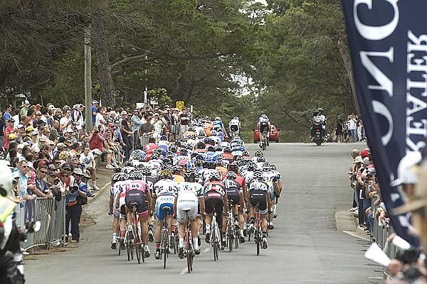 The peloton make their way up a small rise in Geelong's Eastern Gardens.