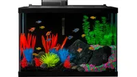 Best tropical fish tank GloFish Aquarium Kit Fish Tank