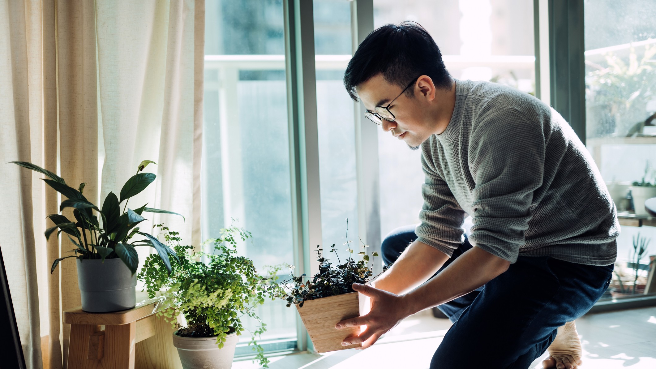A man looking after houseplants