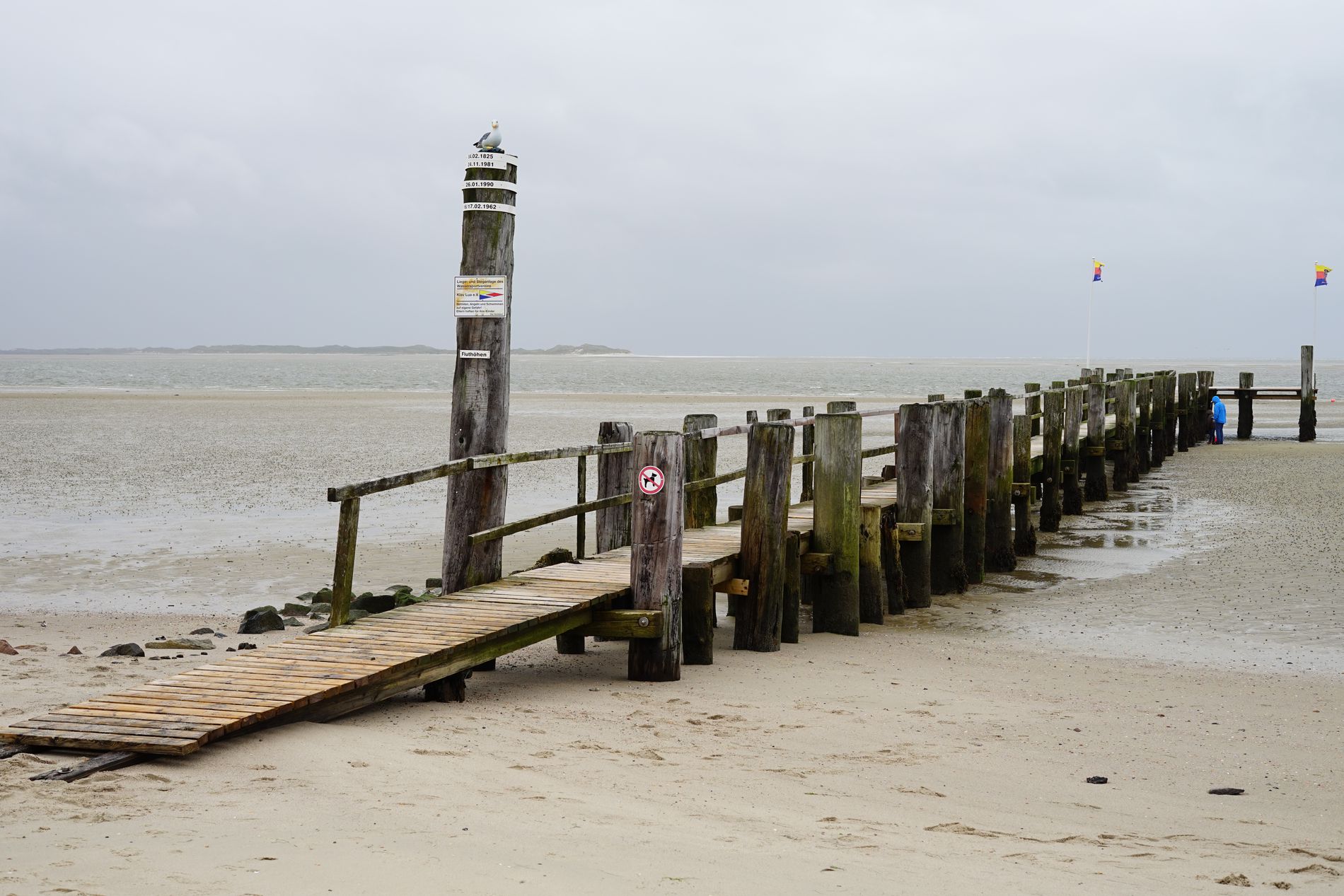 GuruShots - Nature March 2026