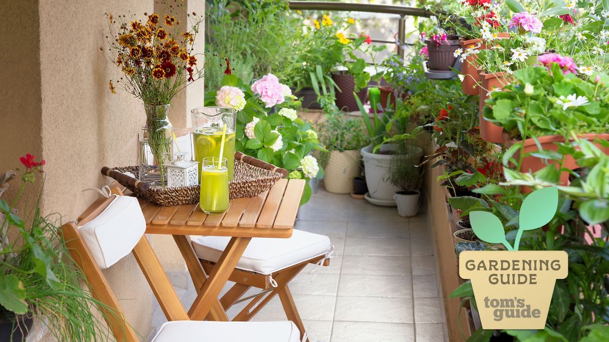 7 best plants for balconies — turn any space into a summer sanctuary