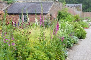 walled garden Denbigh border by potting shed
