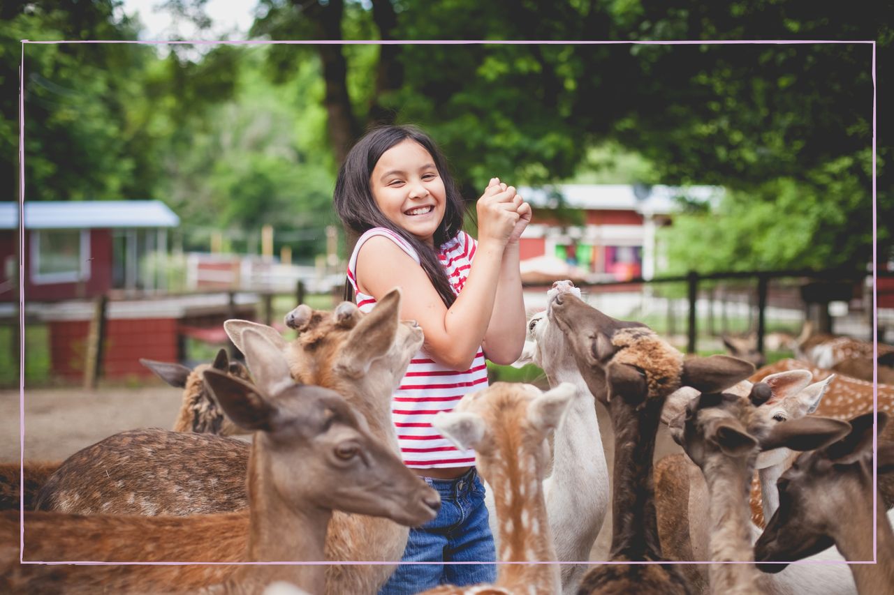 Best zoos in the UK: Child smiling while feeding animals at a zoo