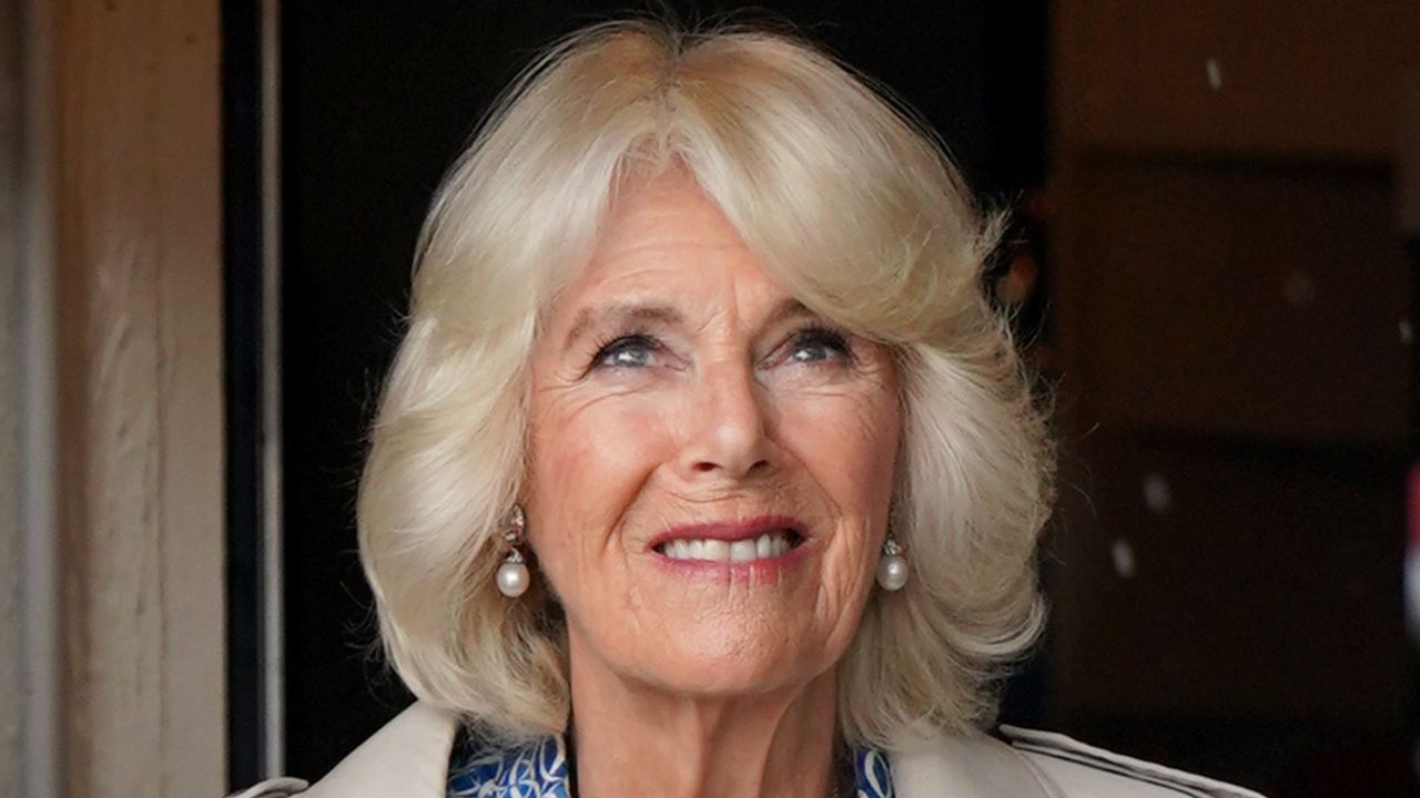 Queen Camilla&#039;s bold blue dress worn as she looks out of a doorway at the rain during a visit to Redwings Horse Sanctuary at Anna Sewell House