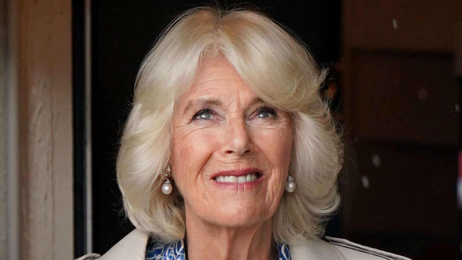 Queen Camilla’s bold blue dress and trench coat is the ultimate combo ...