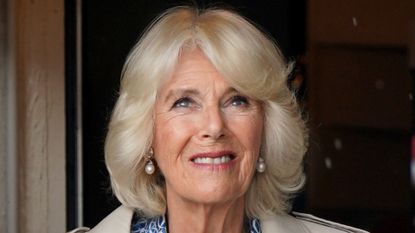 Queen Camilla's bold blue dress worn as she looks out of a doorway at the rain during a visit to Redwings Horse Sanctuary at Anna Sewell House