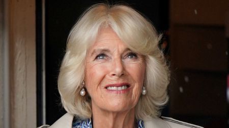 Queen Camilla's bold blue dress worn as she looks out of a doorway at the rain during a visit to Redwings Horse Sanctuary at Anna Sewell House