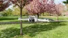 DJI Mini 3 Pro